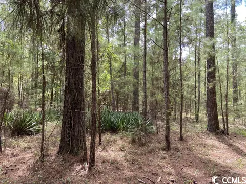 Tbd Highway 746, Loris, SC 29569 photo 15