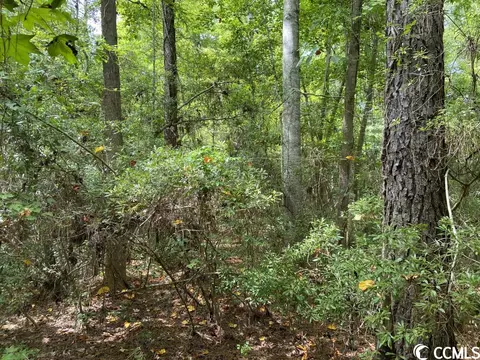 Tbd Highway 746, Loris, SC 29569 photo 6