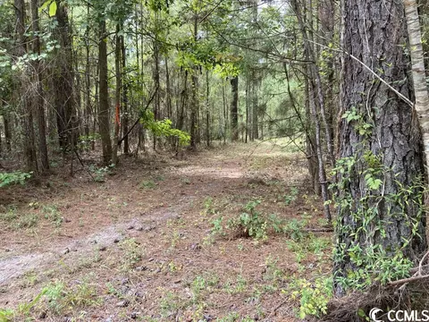 Tbd Highway 746, Loris, SC 29569 photo 16