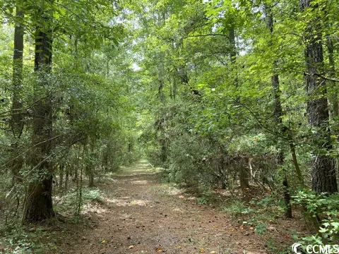 Tbd Highway 746, Loris, SC 29569 photo 4