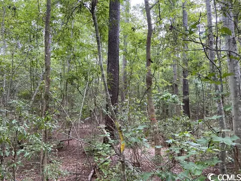 Tbd Highway 746, Loris, SC 29569 photo 9