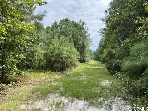 Tbd Highway 746, Loris, SC 29569 photo 21