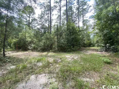 Tbd Highway 746, Loris, SC 29569 photo 18