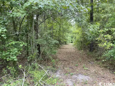 Tbd Highway 746, Loris, SC 29569 photo 26