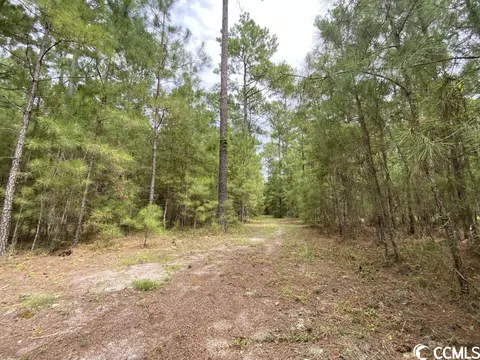Tbd Highway 746, Loris, SC 29569 photo 12