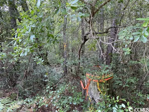 Tbd Highway 746, Loris, SC 29569 photo 24