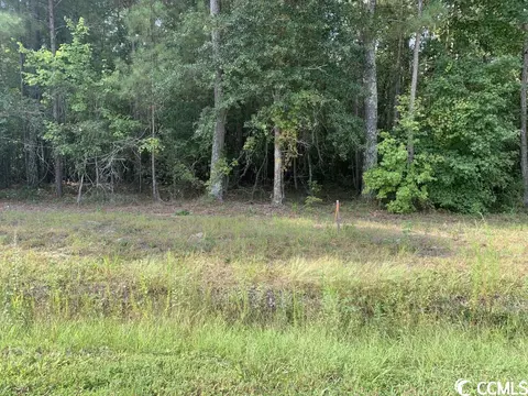 Tbd Highway 746, Loris, SC 29569