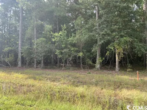 Tbd Highway 746, Loris, SC 29569 photo 2