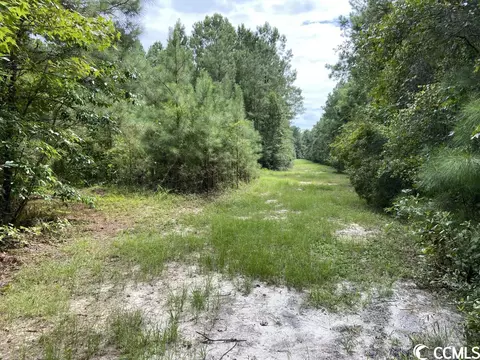 Tbd Highway 746, Loris, SC 29569 photo 20