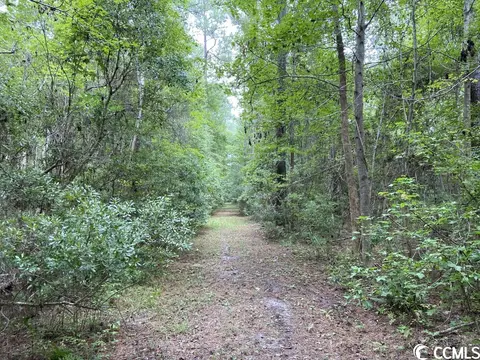 Tbd Highway 746, Loris, SC 29569 photo 8