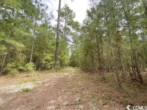 Tbd Highway 746, Loris, SC 29569 photo 13