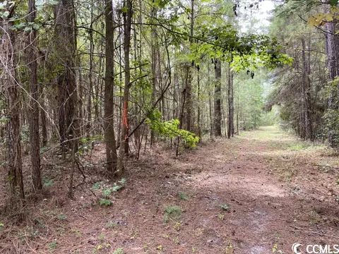 Tbd Highway 746, Loris, SC 29569 photo 17