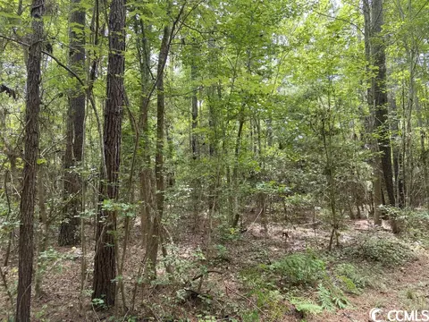 Tbd Highway 746, Loris, SC 29569 photo 7