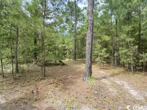 Tbd Highway 746, Loris, SC 29569 photo 14
