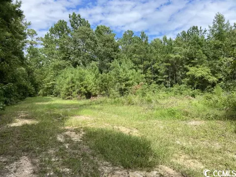 Tbd Highway 746, Loris, SC 29569 photo 22