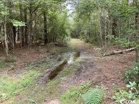 Tbd Highway 746, Loris, SC 29569 photo 23