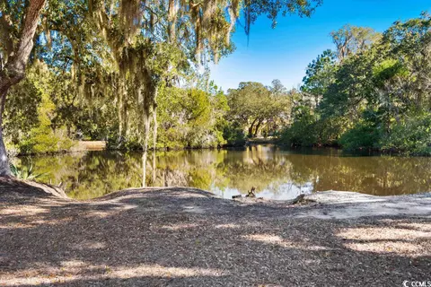 312 Old Carriage Loop, Georgetown, SC 29440 photo 34