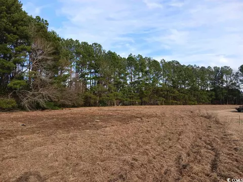 Tbd Bud Graham Rd., Galivants Ferry, SC 29544