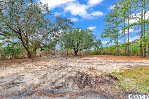 tbd 107ac Red Bluff Rd, Loris, SC 29569
