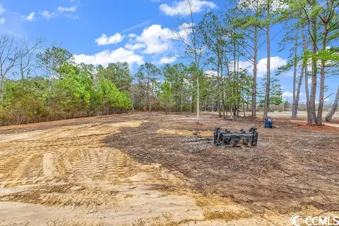 tbd 209ac Red Bluff Rd, Loris, SC 29569 photo 2