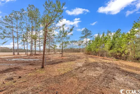tbd 209ac Red Bluff Rd, Loris, SC 29569 photo 3