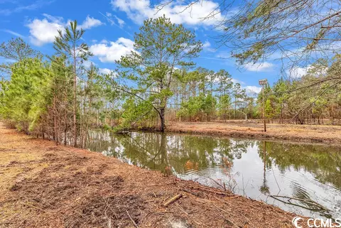 tbd 209ac Red Bluff Rd, Loris, SC 29569 photo 4