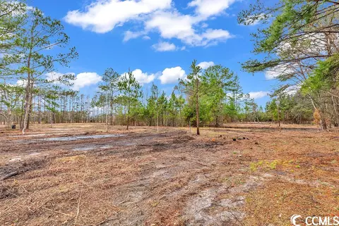 tbd 209ac Red Bluff Rd, Loris, SC 29569