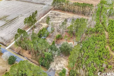 tbd 100ac Red Bluff Rd, Loris, SC 29569 photo 4