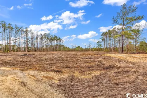 tbd 100ac Red Bluff Rd, Loris, SC 29569 photo 2