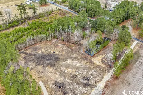 tbd 100ac Red Bluff Rd, Loris, SC 29569 photo 3
