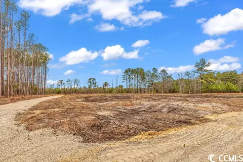 tbd 100ac Red Bluff Rd, Loris, SC 29569 photo 5