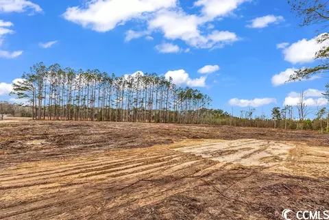 tbd 112ac Red Bluff Rd, Loris, SC 29569 photo 2