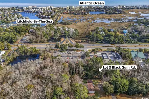 3 Blackgum Road, Pawleys Island, SC 29585