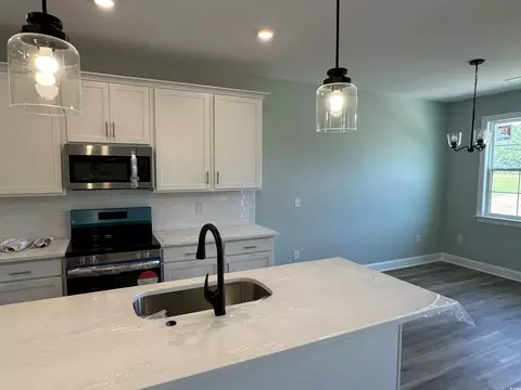 2425 Cane Branch Rd, Loris, SC 29569 photo 7