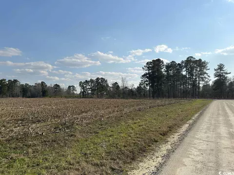 lot3435 Gulley Ln, Salters, SC 29590
