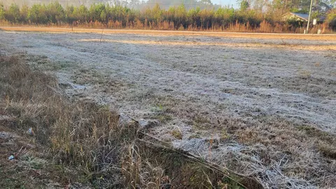 Old Bucksville Rd., Conway, SC 29527