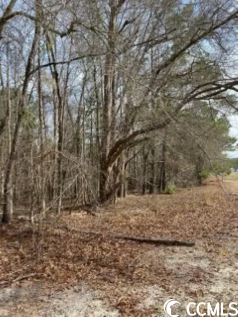 5 0 Acs Knotty Branch Rd, Conway, SC 29527