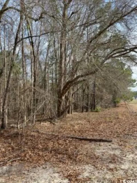 5 0 Acs Knotty Branch Rd, Conway, SC 29527