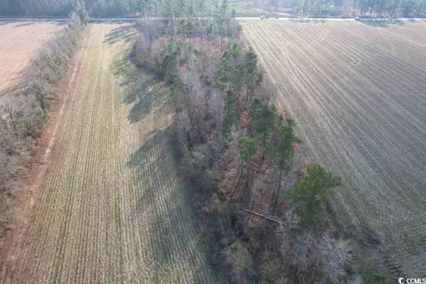 Lot 29 Gulley Ln., Salters, SC 29590