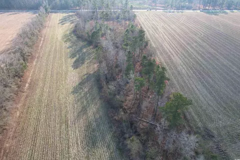 lot29 Gulley Ln, Salters, SC 29590
