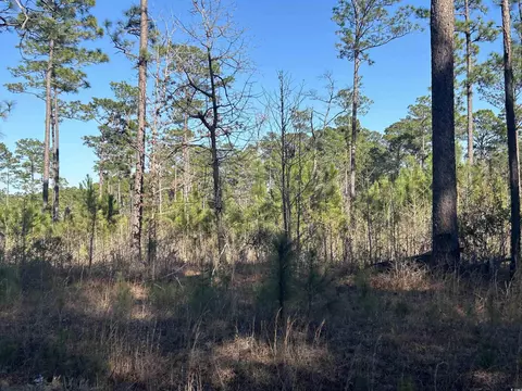 1440 David W Ray Dr, Georgetown, SC 29440 photo 6