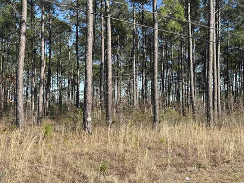 1440 David W Ray Dr, Georgetown, SC 29440 photo 5