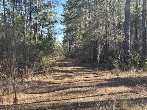 1440 David W Ray Dr, Georgetown, SC 29440 photo 4