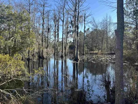 1440 David W Ray Dr, Georgetown, SC 29440 photo 2