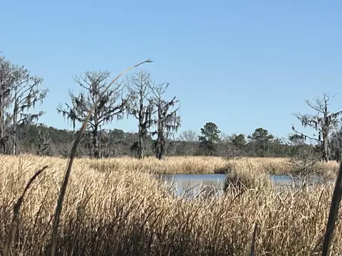 1440 David W Ray Dr, Georgetown, SC 29440 photo 3