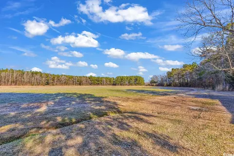 Other - 225 Pridgen Rd, Loris, SC 29569 photo 29 of 39