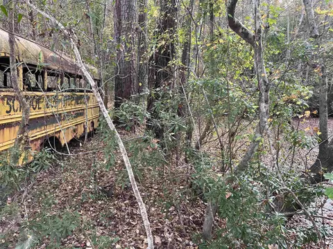 Other - 225 Pridgen Rd, Loris, SC 29569 photo 34 of 39