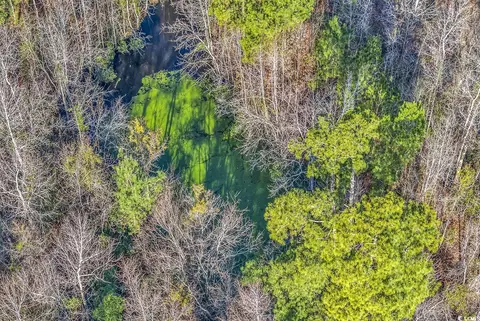 Other - 225 Pridgen Rd, Loris, SC 29569 photo 35 of 39