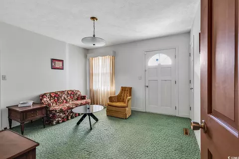 Other - 225 Pridgen Rd, Loris, SC 29569 photo 11 of 39