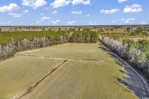 Other - 225 Pridgen Rd, Loris, SC 29569 photo 38 of 39